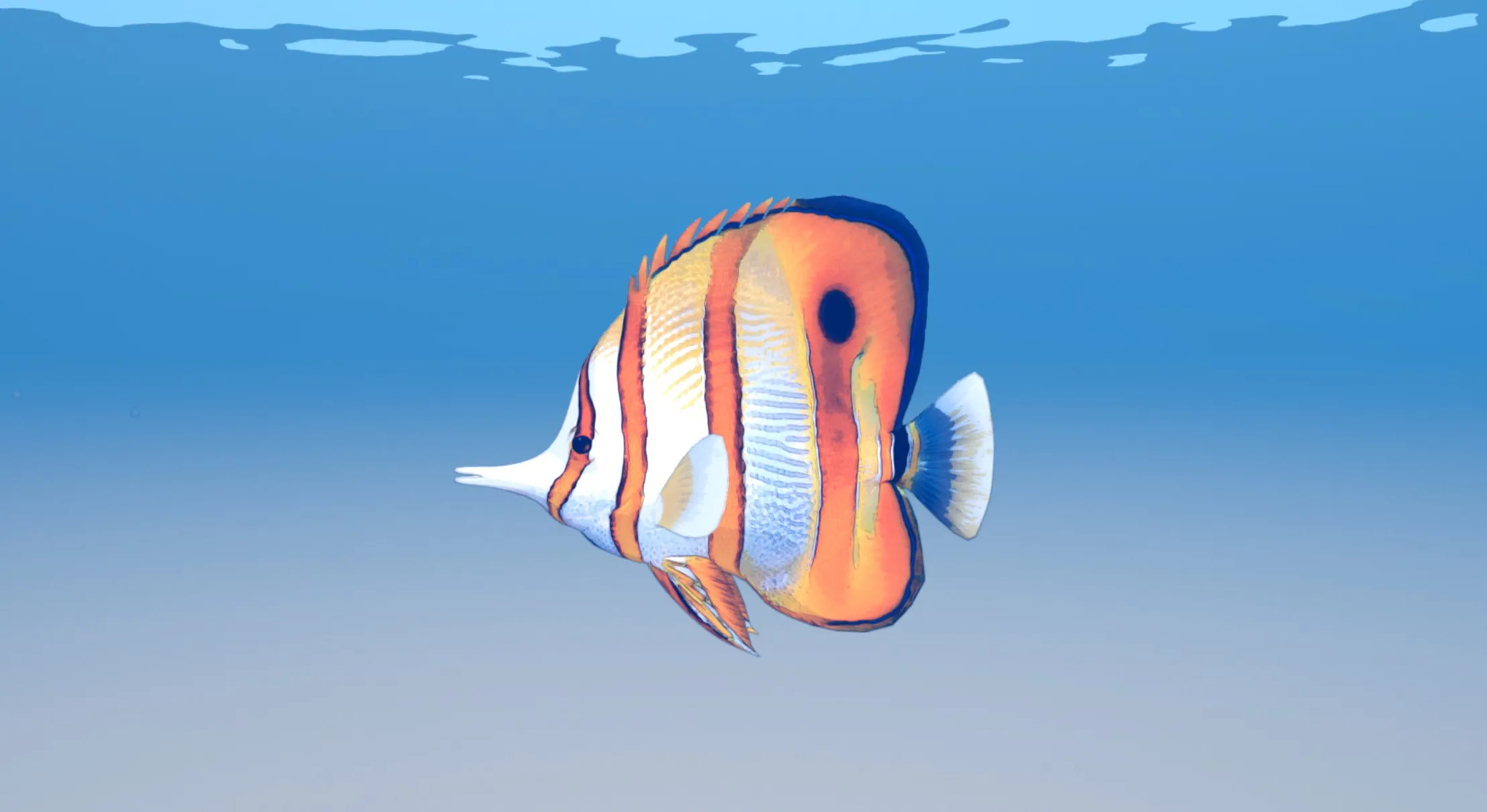A copperband butterflyfish swimming just below the water's surface
